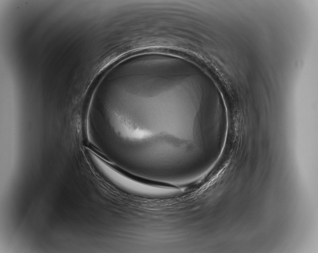 X0000097861505200803211244