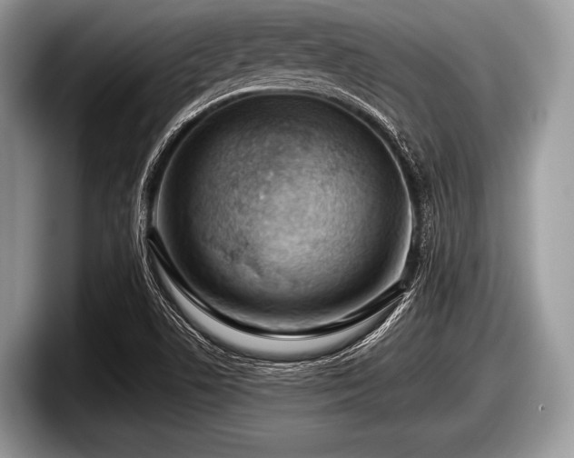 X0000097861506200803211244