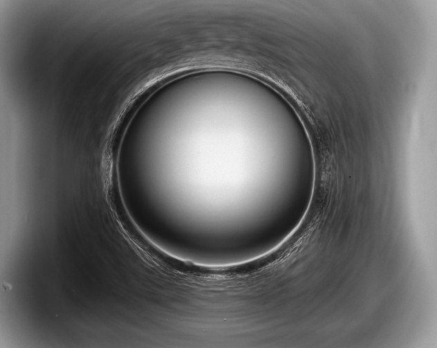 X0000097861507200803211244