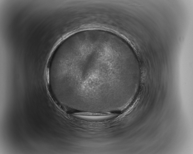 X0000097861509200803211244