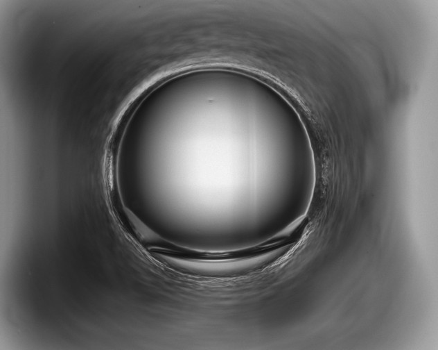 X0000097861510200803211244