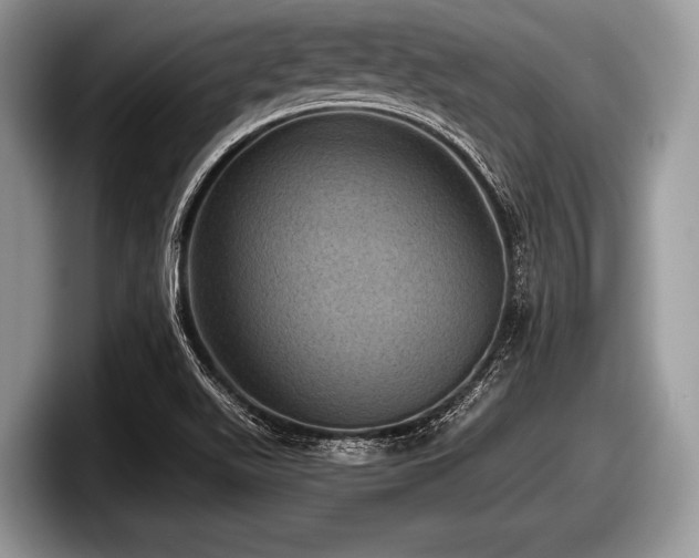 X0000097861511200803211244