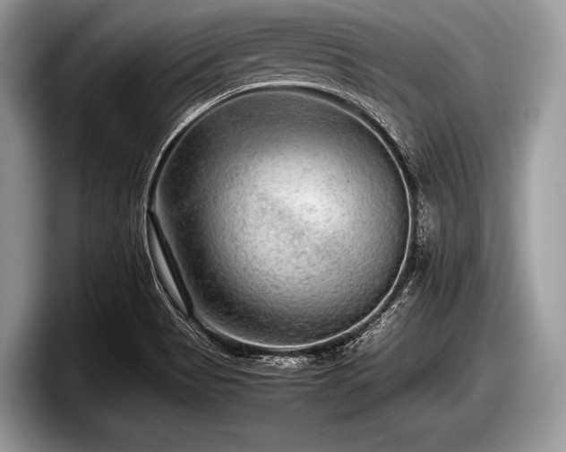 X0000097861513200803211244