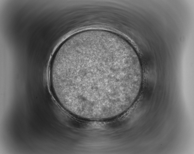 X0000097861514200803211244