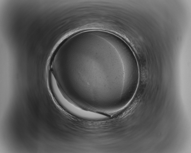 X0000097861515200803211244