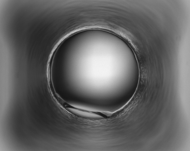 X0000097861516200803211244