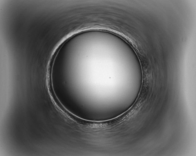 X0000097861518200803211244