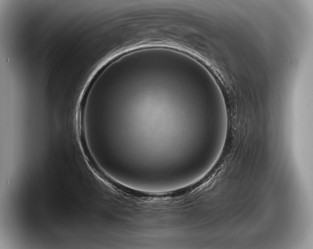 X0000097861519200803211244