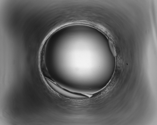 X0000097861520200803211244