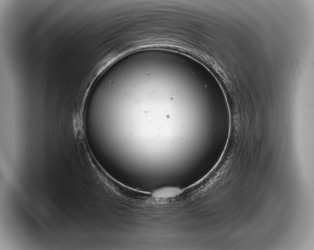 X0000097861521200803211244