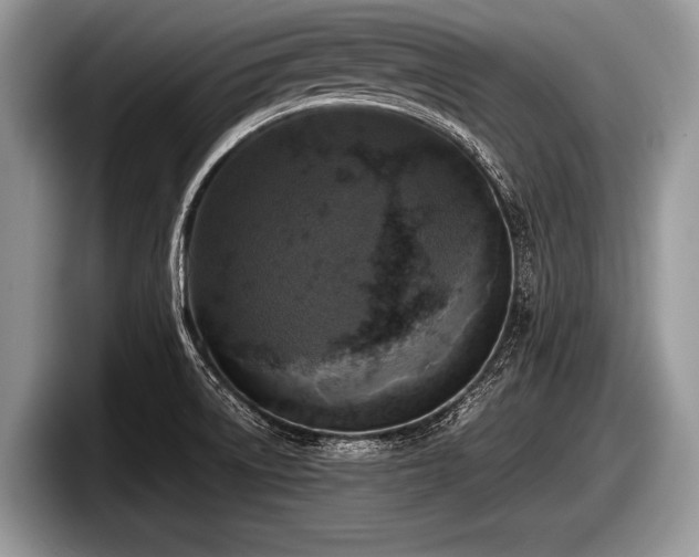 X0000097861522200803211244