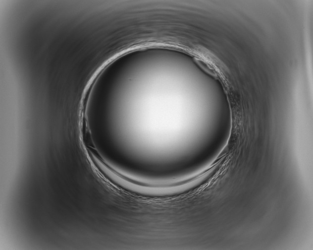 X0000097861524200803211244