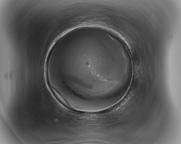 X0000097861525200803211244