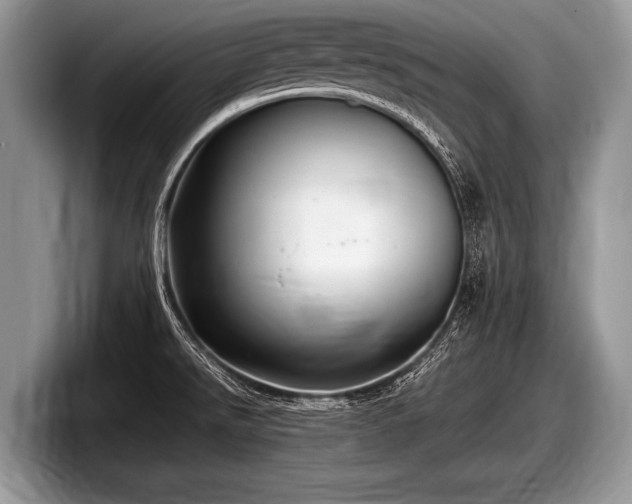 X0000097861526200803211244