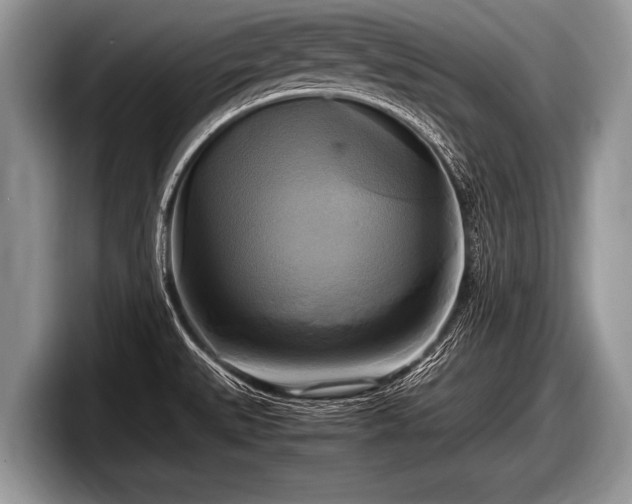 X0000097861527200803211244