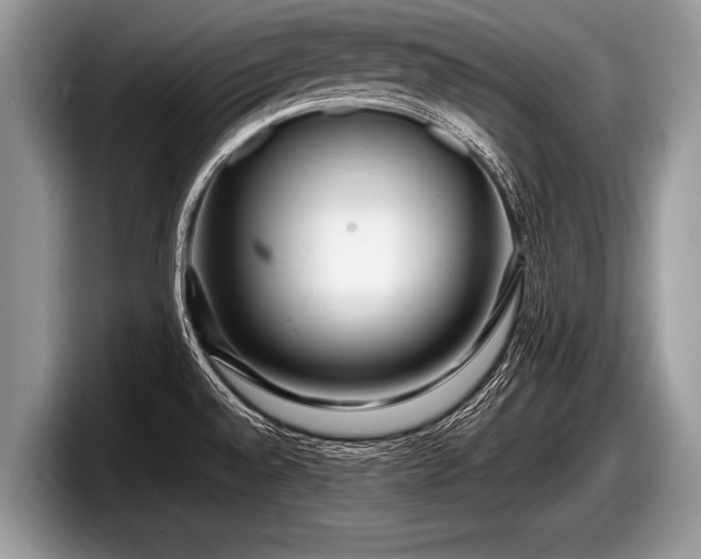 X0000097861528200803211244