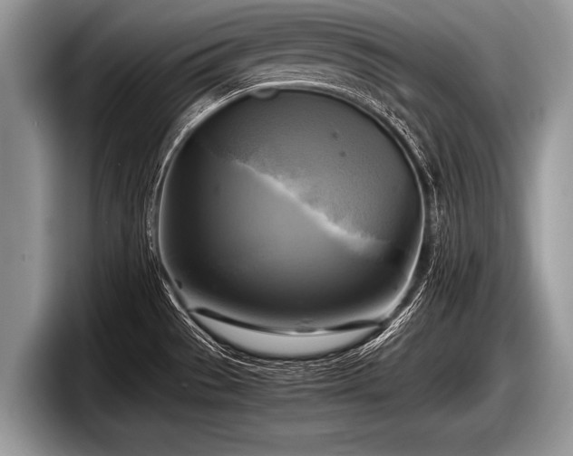 X0000097861529200803211244