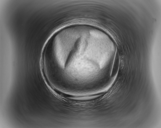 X0000097861531200803211244