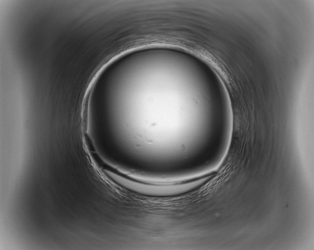 X0000097861532200803211244