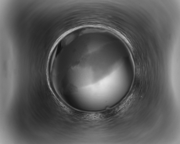 X0000097861533200803211244