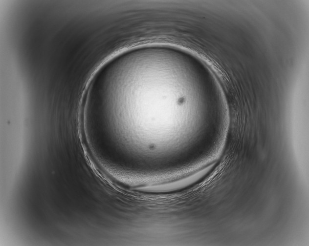 X0000097861534200803211244