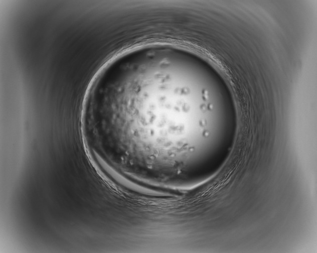 X0000097861536200803211244
