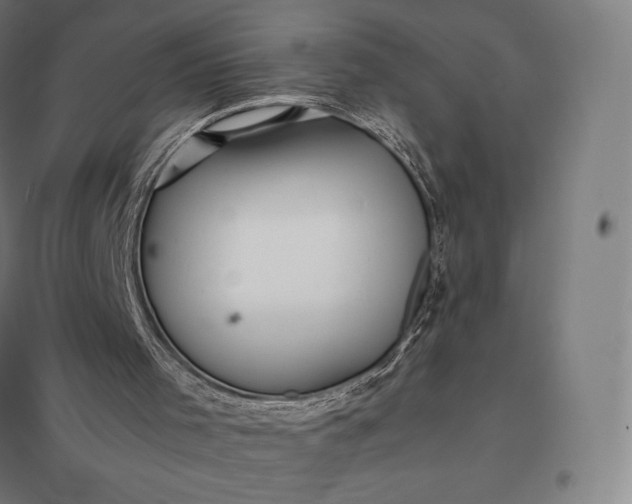 X0000097860001200803281322