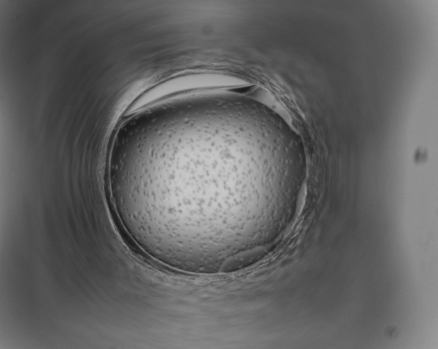 X0000097860003200803281322