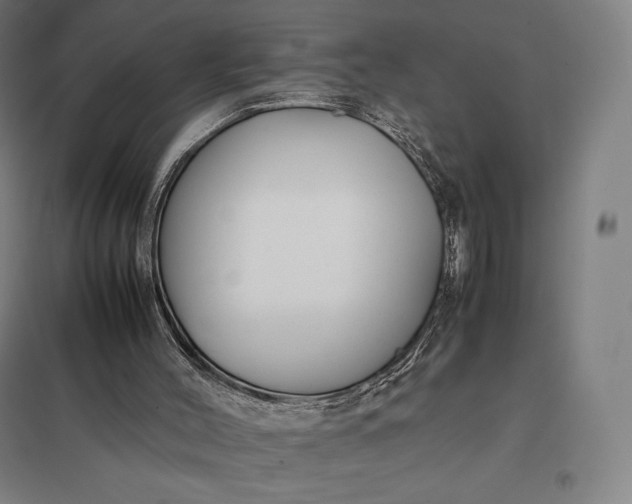 X0000097860004200803281322