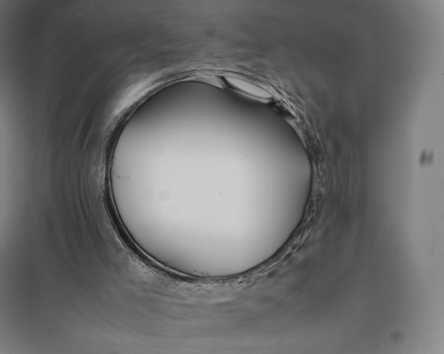 X0000097860005200803281322