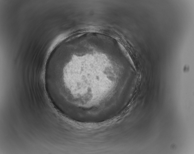 X0000097860006200803281322