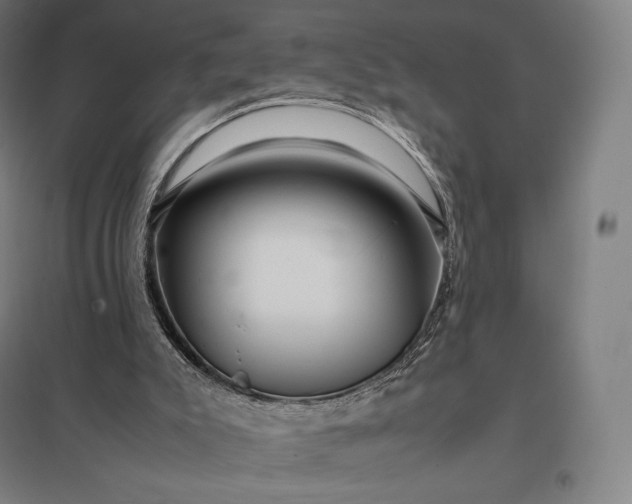 X0000097860007200803281322