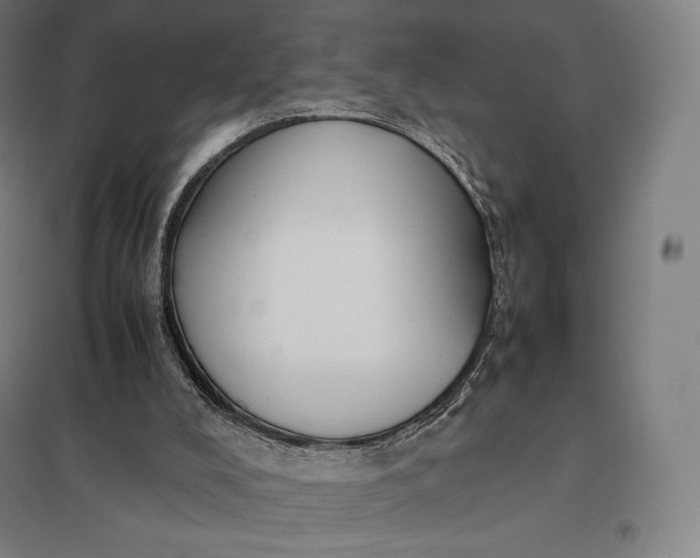 X0000097860008200803281322