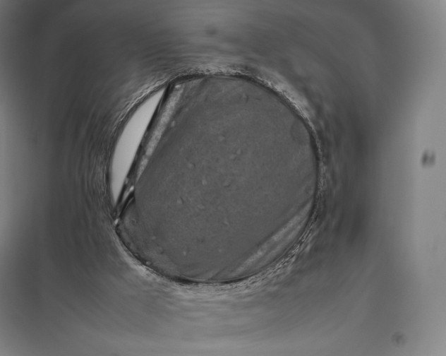 X0000097860009200803281322