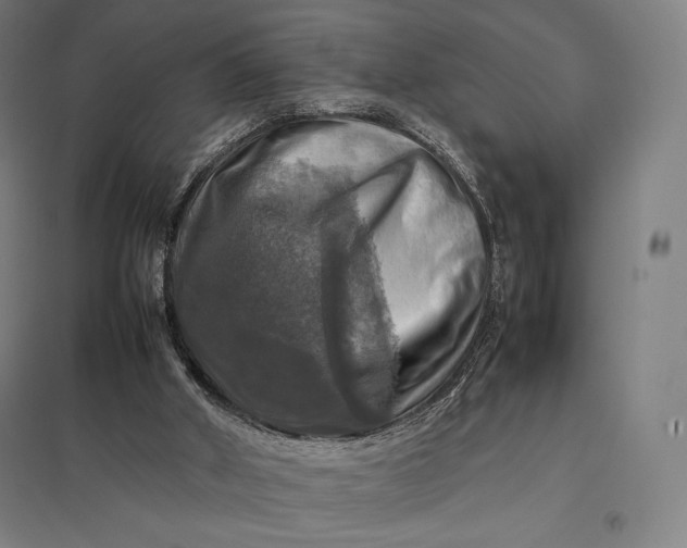 X0000097860010200803281322