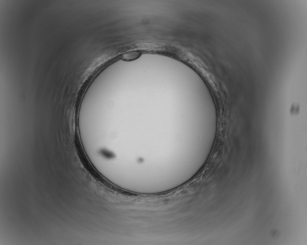 X0000097860011200803281322