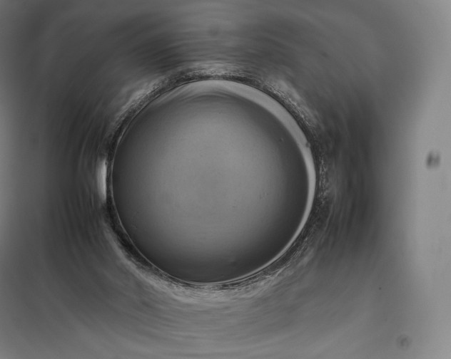 X0000097860014200803281322