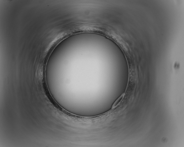 X0000097860015200803281322