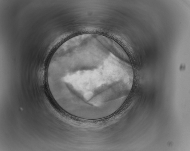 X0000097860016200803281322