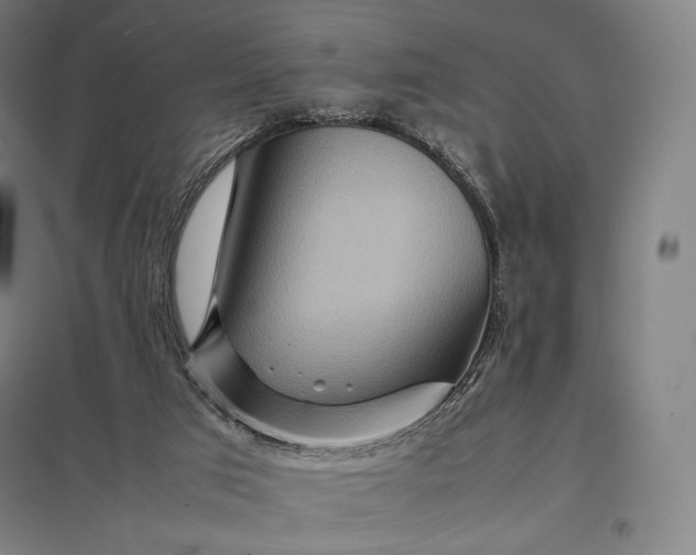 X0000097860017200803281322