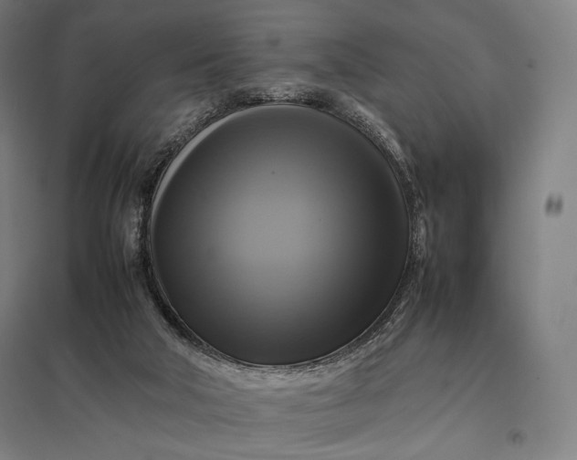 X0000097860018200803281322