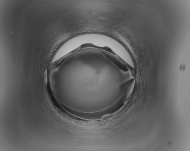 X0000097860019200803281322