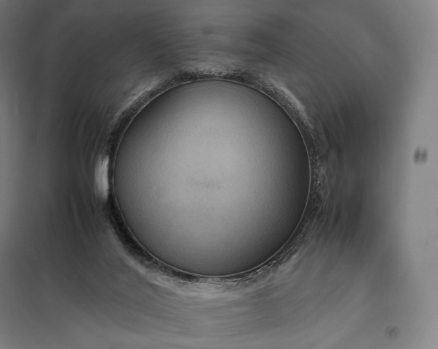 X0000097860020200803281322