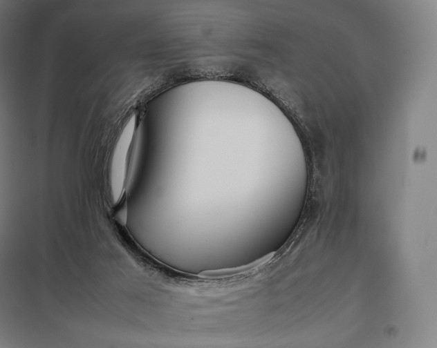 X0000097860021200803281322