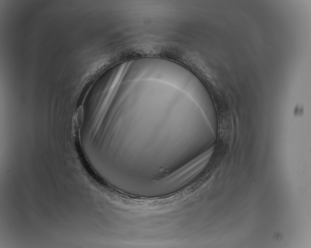 X0000097860023200803281322