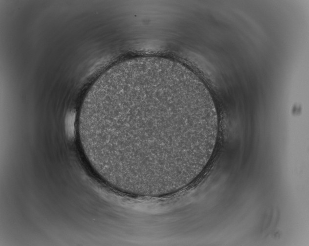 X0000097860024200803281322