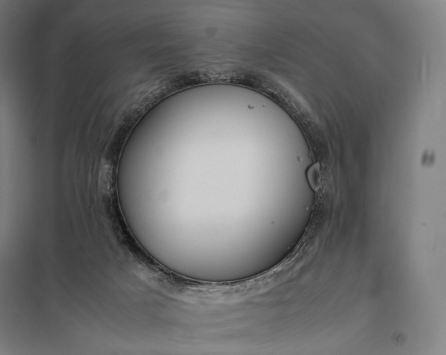 X0000097860025200803281322