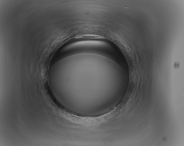 X0000097860031200803281322