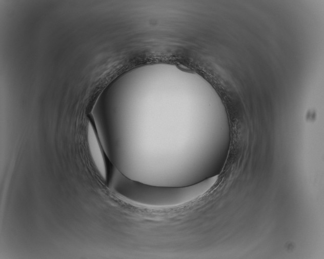 X0000097860033200803281322