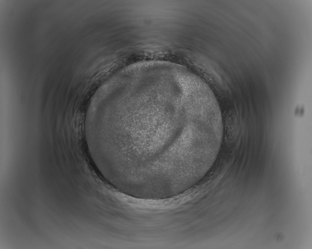 X0000097860034200803281322